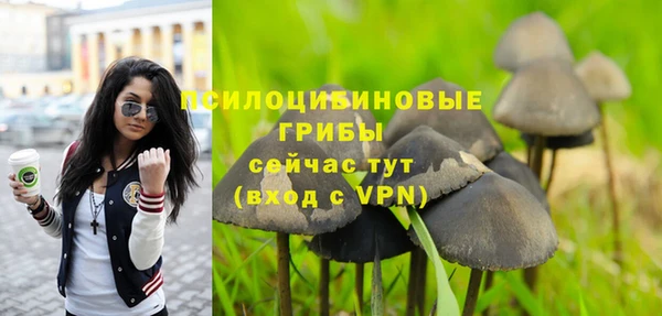 кокс Бородино