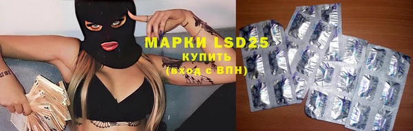 ECSTASY Богородицк