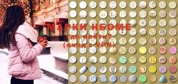 ECSTASY Богородицк
