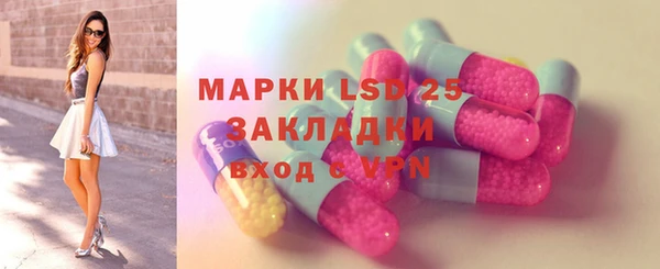 гидра Верея