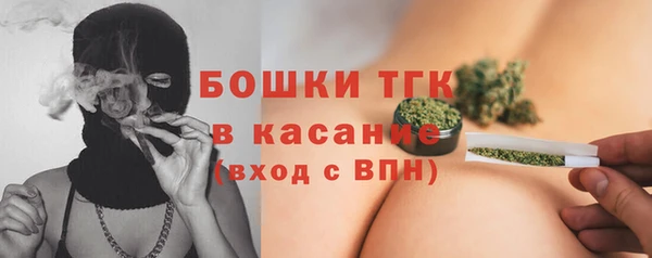 стаф Богданович
