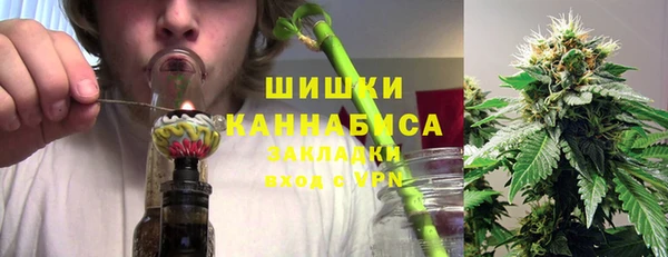 стаф Богданович